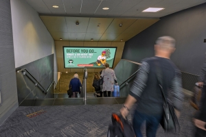 Southern-Stairwell_TreesThatCount_Nov2020