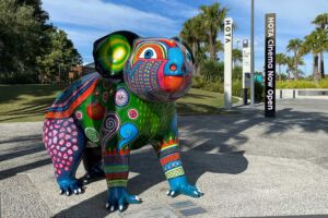 2021_Hota_Tickers_16m