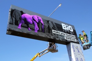 101 ASHMORE ROAD BILLBOARD SHOWCASE 4