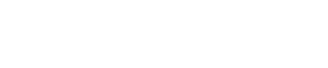 gemini-name